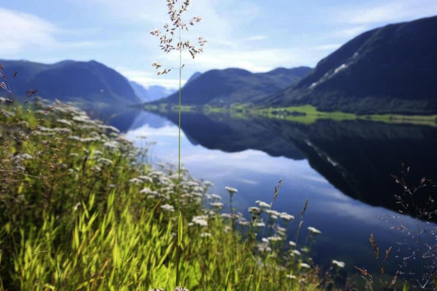 Jolster Lake View Årdal Exterior photo
